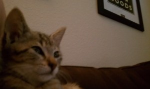 Ace Chilling